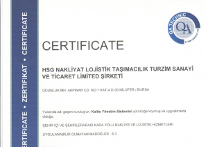 HSG ISO 9001